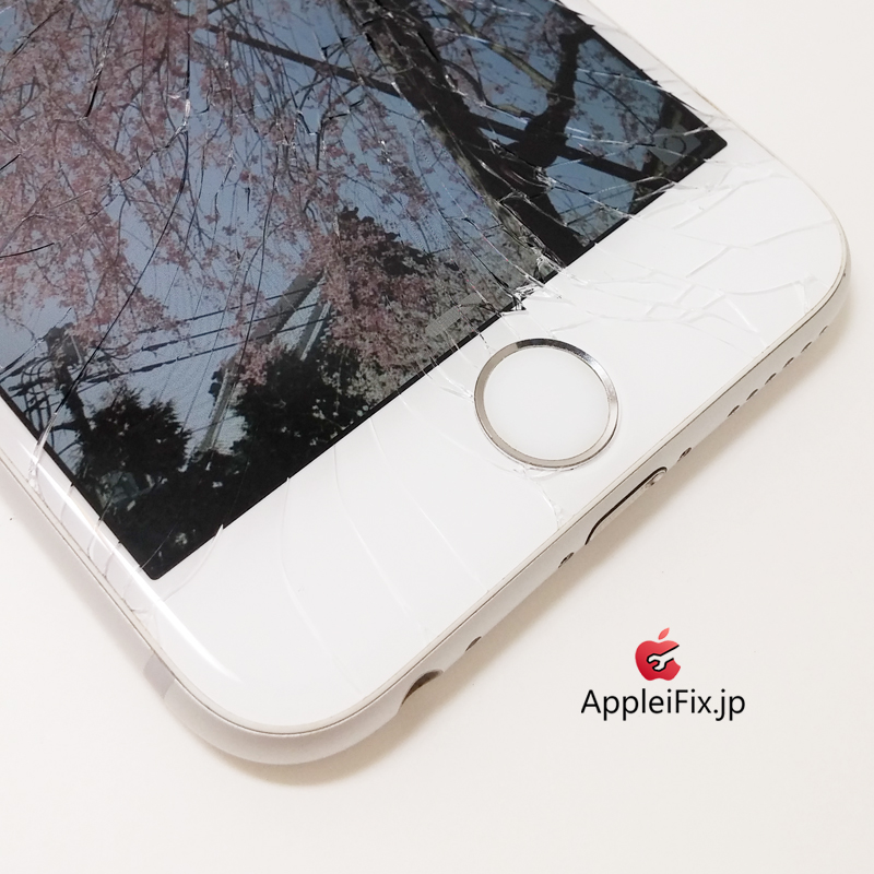 iPhone6シルバー画面修理_Repair_1.jpg