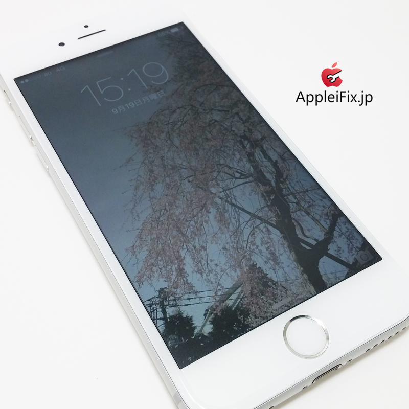 iPhone6シルバー画面修理_Repair_4.jpg