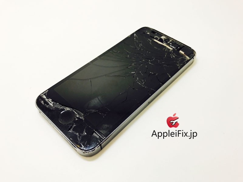 iPhone5S Spacegrey_repair_2.jpg