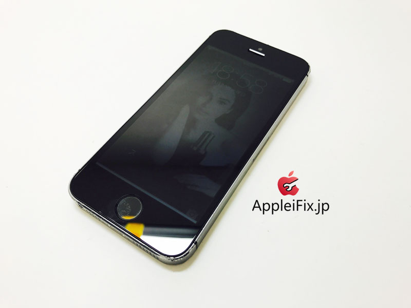 iPhone5S Spacegrey_repair_4.jpg