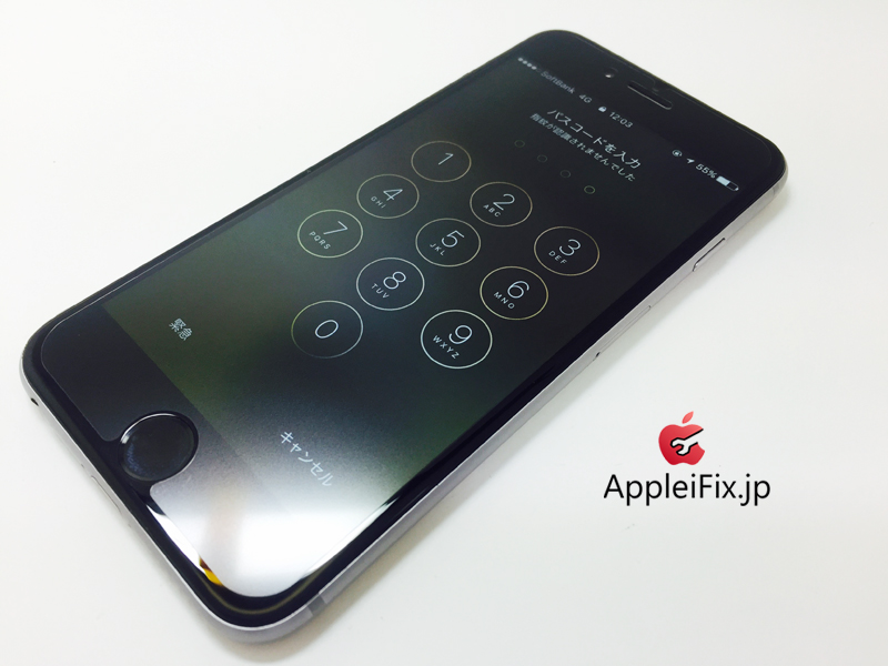 iPhone6 Spacegrey_repair_4.jpg