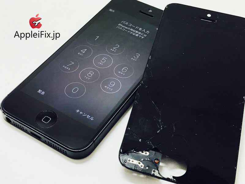 iPhone5 Black_repair_1.jpg