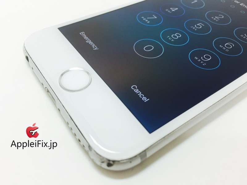 iPhone6 Silver_repair_2.jpg