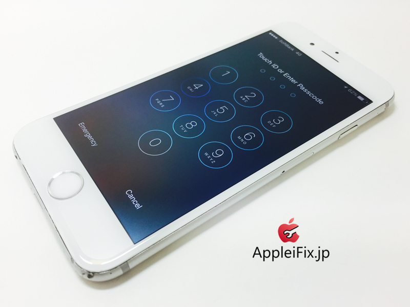 iPhone6 Silver_repair_4.jpg