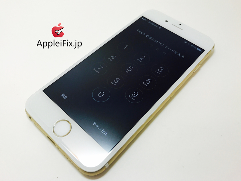 iPhone6 Gold Customer_repair_4.jpg