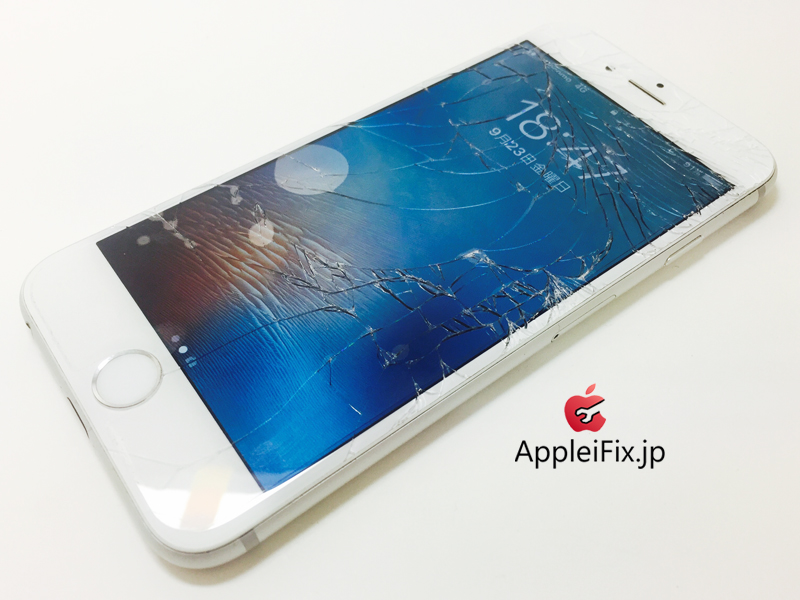 iPhone6 Silver_repair_3.jpg