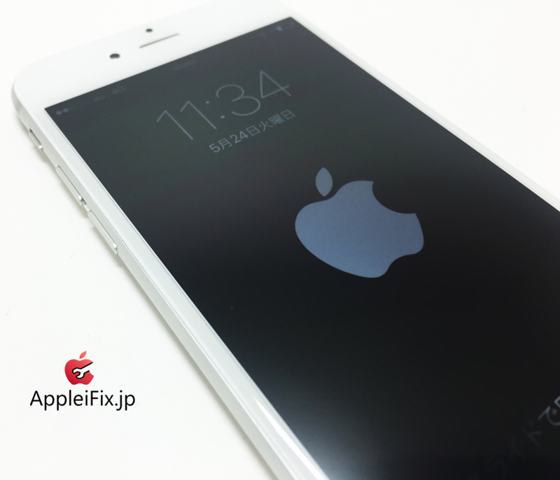 iPhone6 Silver_repair_2.jpg