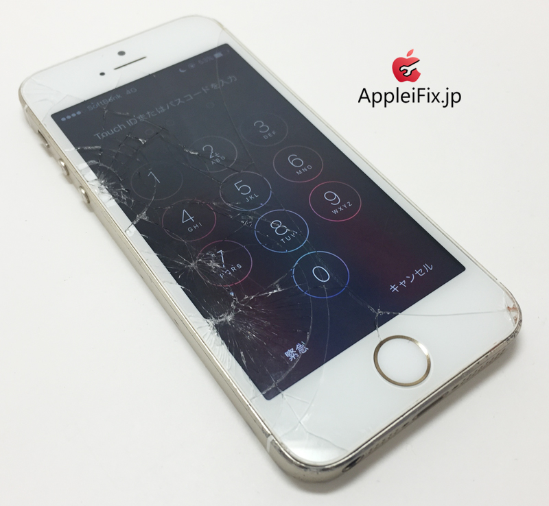 iPhone5S Gold_repair_3.jpg