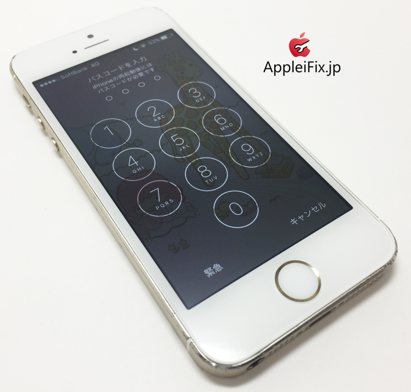 iPhone5S Gold_repair_4.jpg