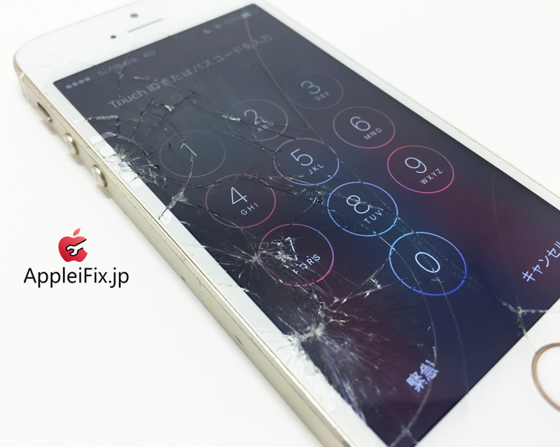 iPhone5S Gold_repair_1.jpg