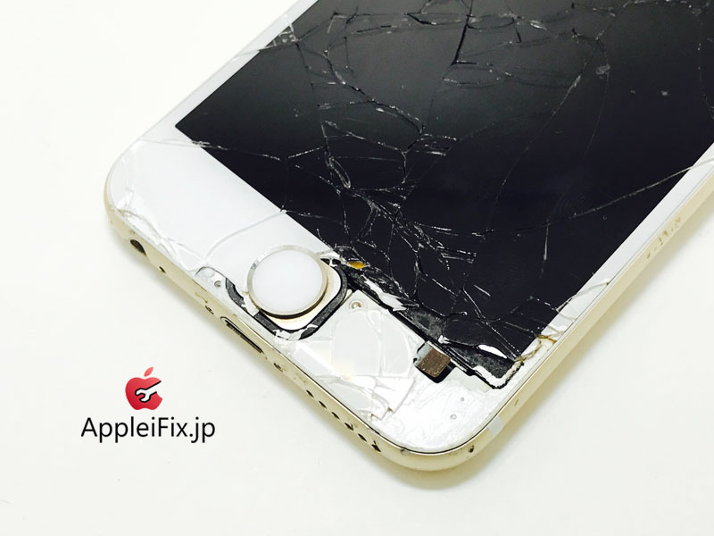 iPhone6 Gold_repair_2.jpg