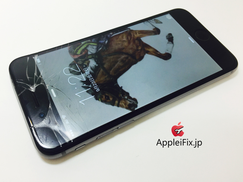 iPhone6 Spacegrey_repair_3.jpg