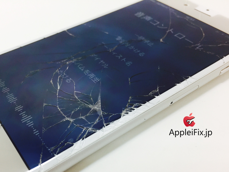 iPhone6 Silver_Repair_1.jpg