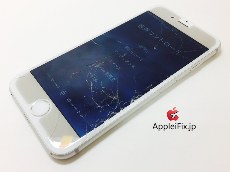 iPhone6 Silver_Repair_3.jpg