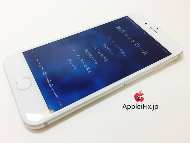 iPhone6 Silver_Repair_4.jpg