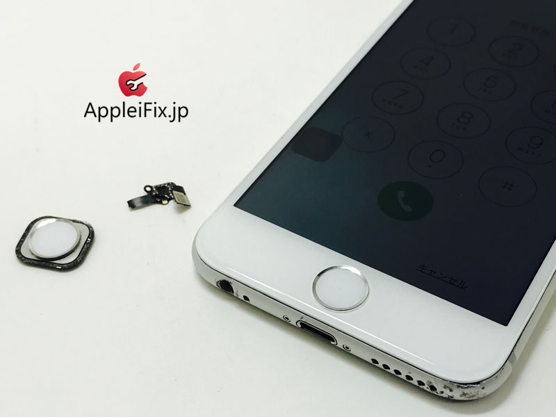 iPhone6 Silver Display&Home Button_repair_4.jpg