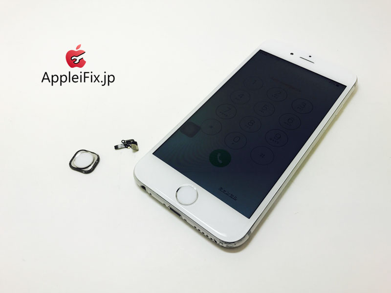 iPhone6 Silver Display&Home Button_repair_5.jpg