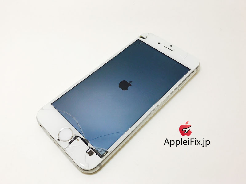 iPhone6 Silver Display&Home Button_repair_3.jpg