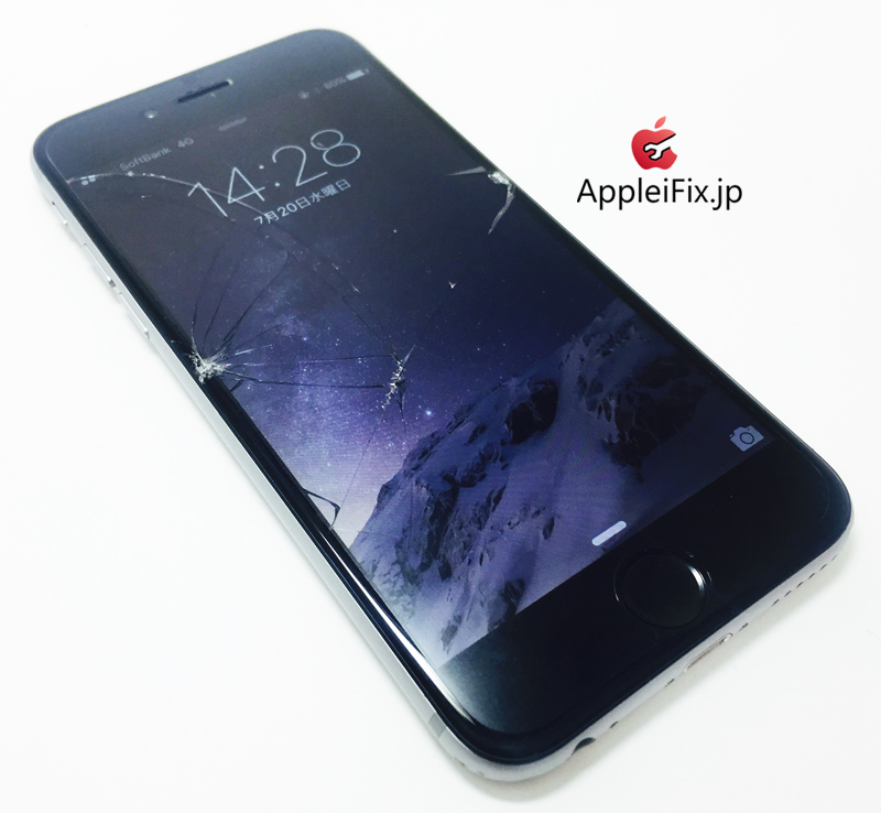 iPhone6 Spacegrey_repair_3.jpg