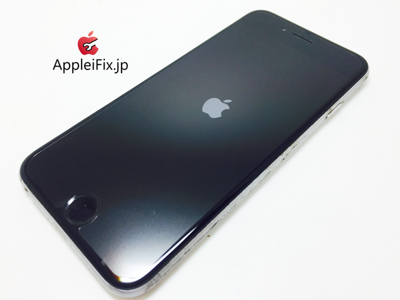 iPhone6 Spacegrey_repair_4.jpg