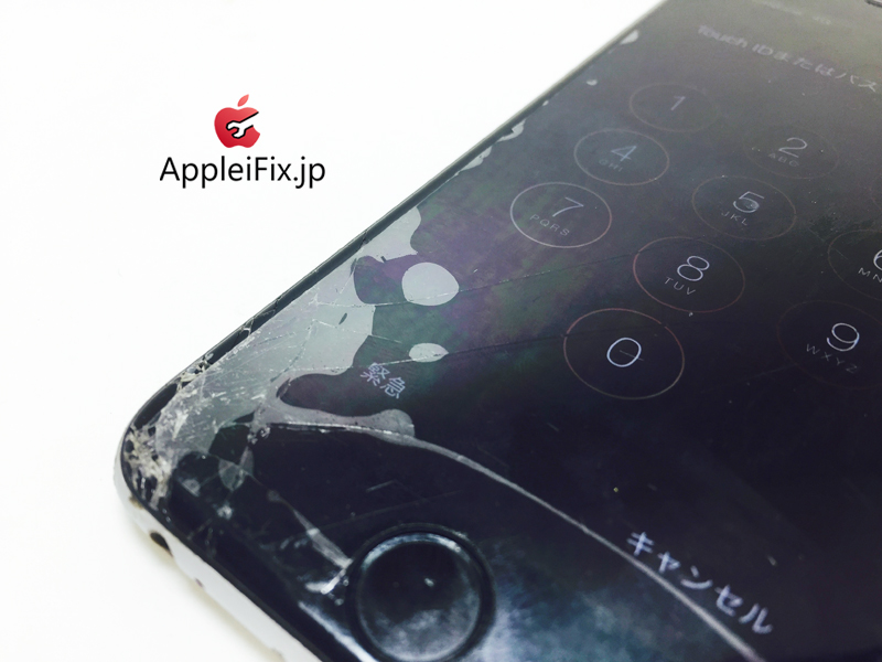 iPhone6 Spacegrey_repair_1.jpg