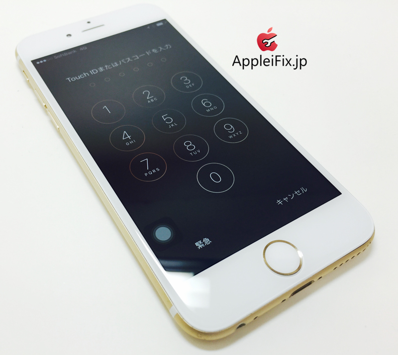 iPhone6 Gold_repair_4.jpg