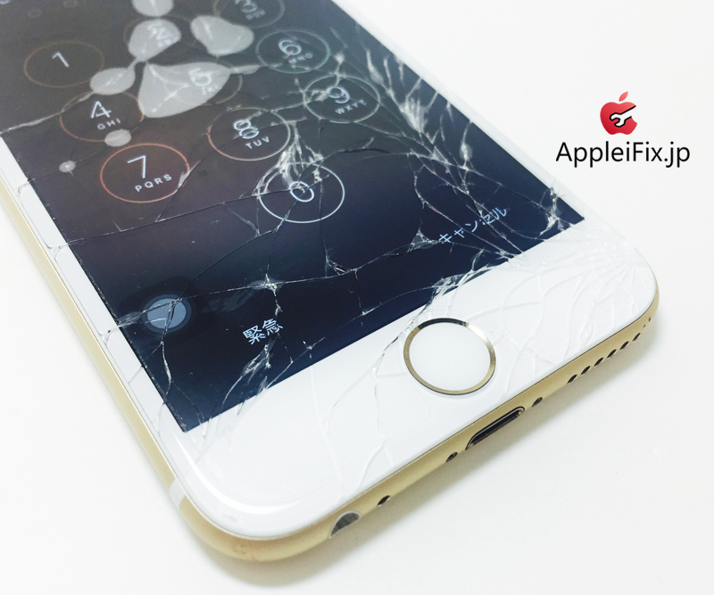 iPhone6 Gold_repair_1.jpg