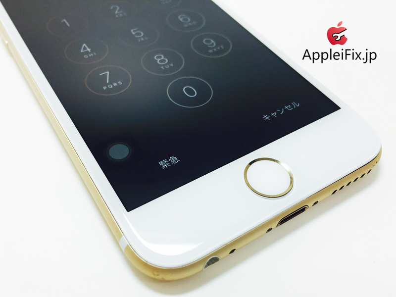 iPhone6 Gold_repair_2.jpg