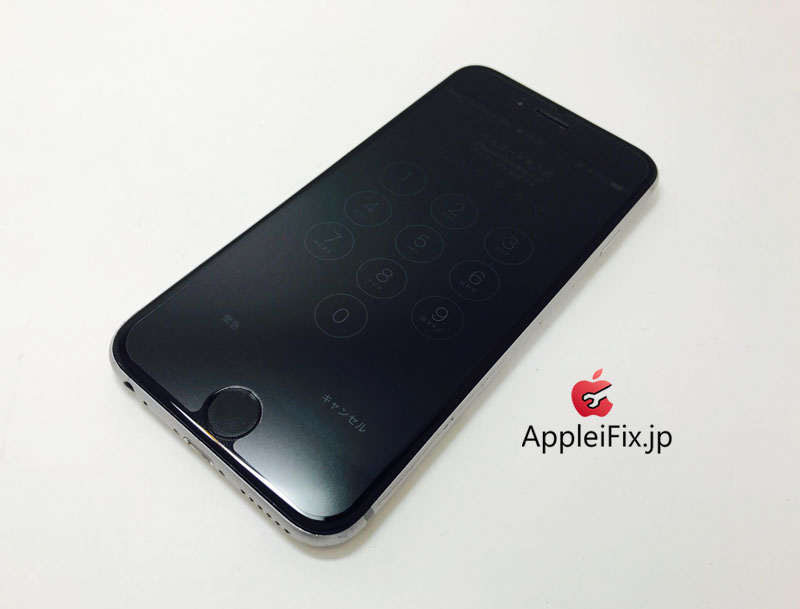 iPhone6S Spacegrey_repair_4.jpg