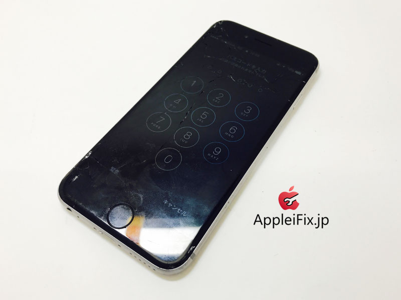 iPhone6S Spacegrey_repair_2.jpg