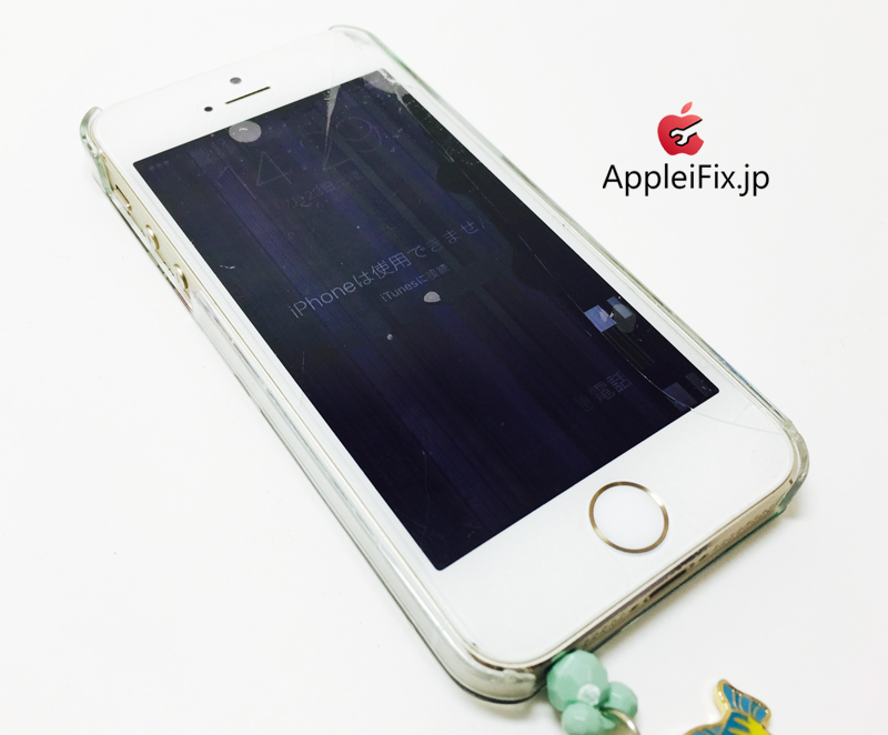 iPhone5S Gold_repair_3.jpg