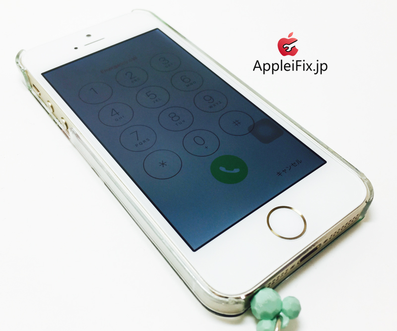 iPhone5S Gold_repair_4.jpg