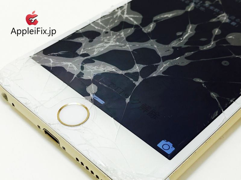 iPhone6 Plus Gold_repair_1.jpg