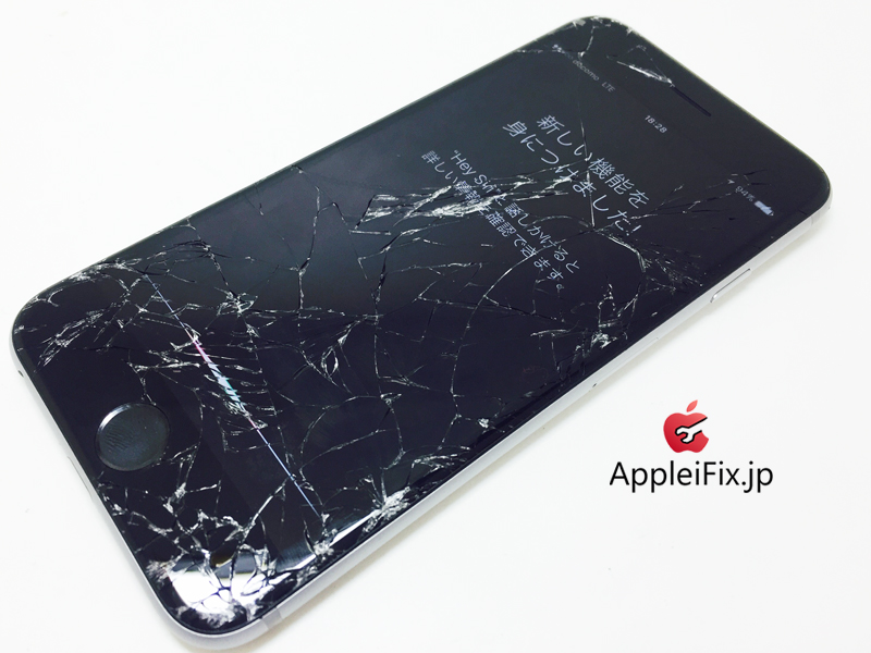 iPhone6 Spacegrey_repair_3.jpg