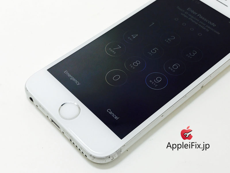 iPhone6S Silver_repair_3.jpg