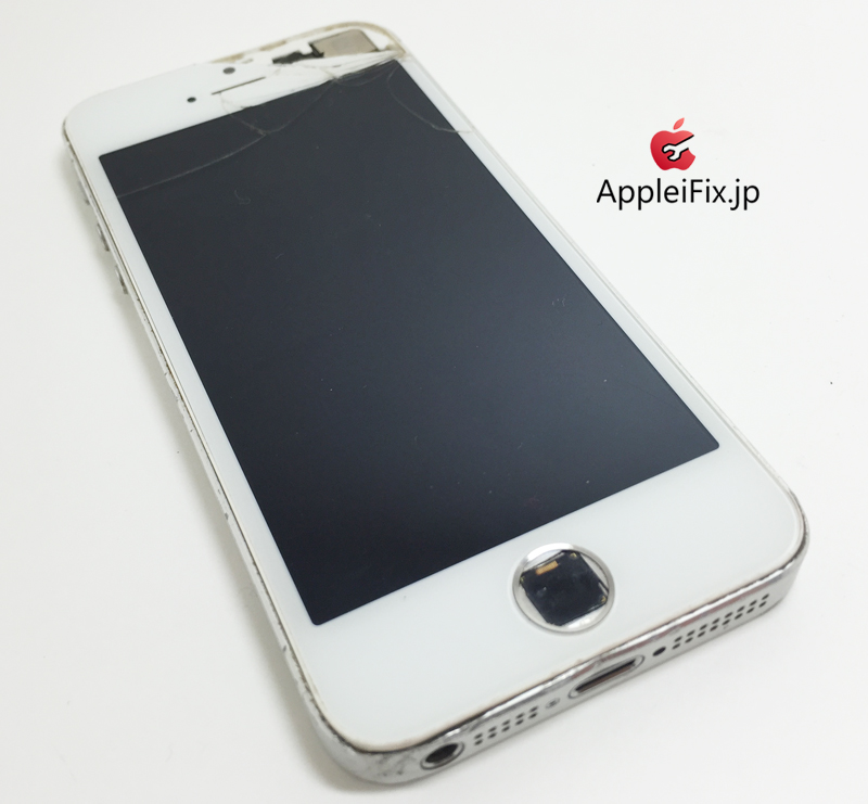 iPhone5S画面交換修理とホームボタンケーブル交換修理_repair_5.jpg