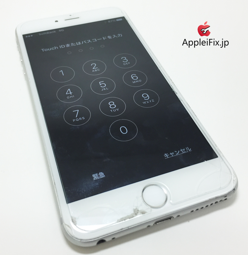 iPhone6 Silver_repair_3.jpg