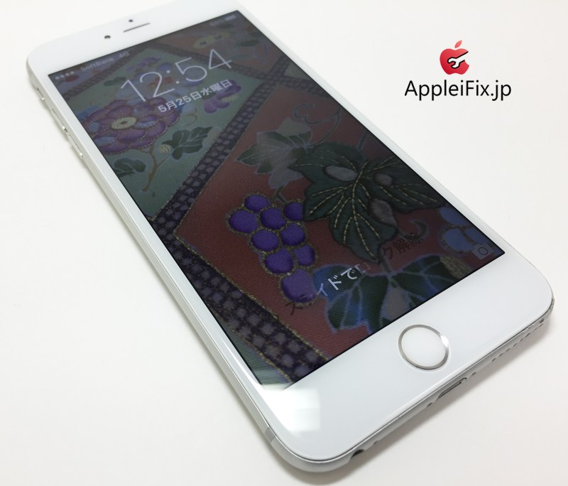 iPhone6 Silver_repair_4.jpg