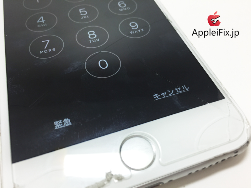 iPhone6 Silver_repair_1.jpg