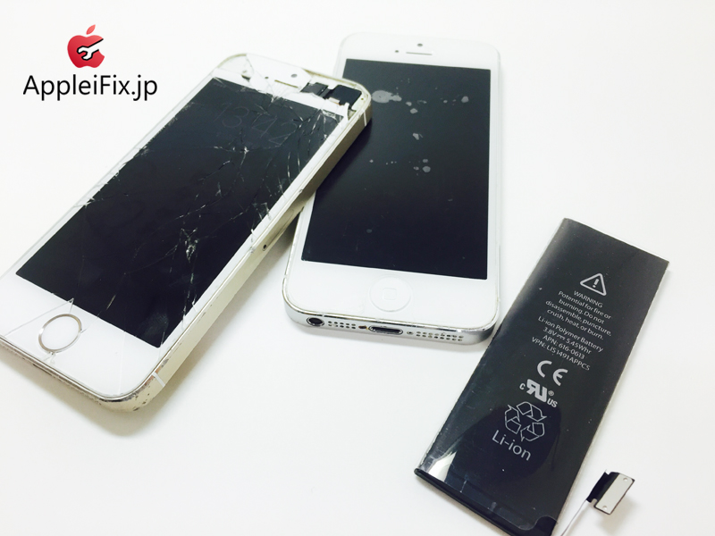 iPhone5S Gold&5Silver_repair_3.jpg