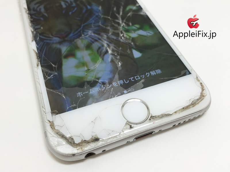 iPhone6画面割れ修理AppeliFix_repair_3.jpg