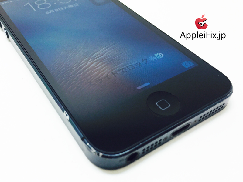 iPhone5 Black_repair_2.jpg