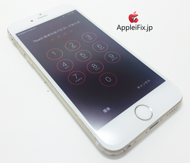 iPhone6 Gold_repair_4.jpg