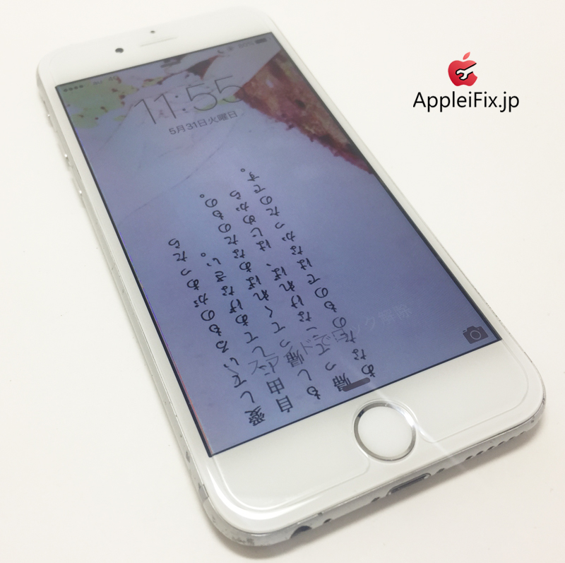 iPhone6 Silver_repair_4.jpg