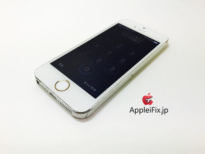 iPhone5S Silver_repair_4.jpg