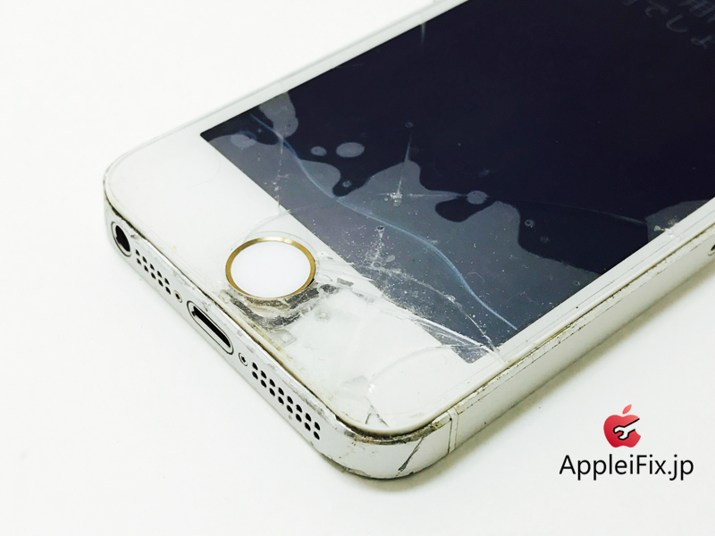 iPhone5S Silver_repair_1.jpg