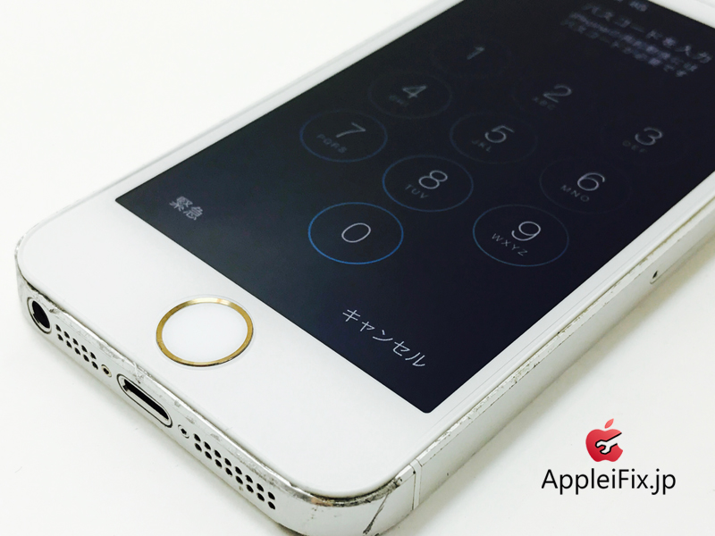 iPhone5S Silver_repair_2.jpg