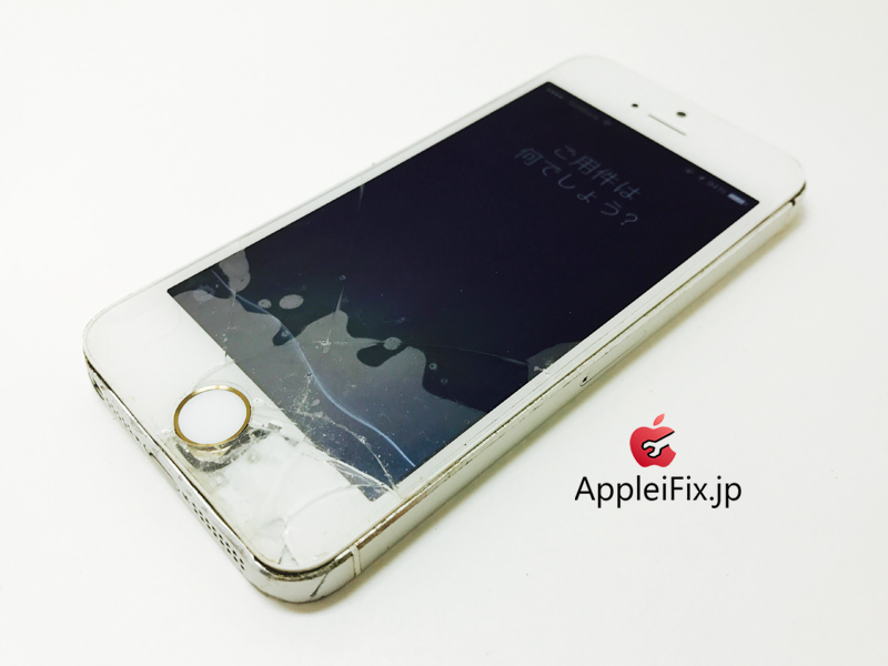 iPhone5S Silver_repair_3.jpg