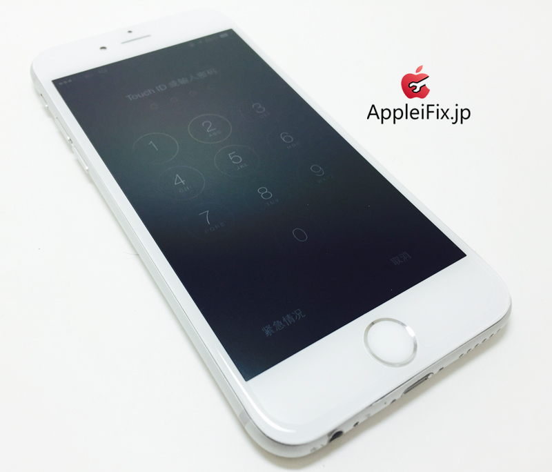 iPhone6 Silver_repair_4.jpg