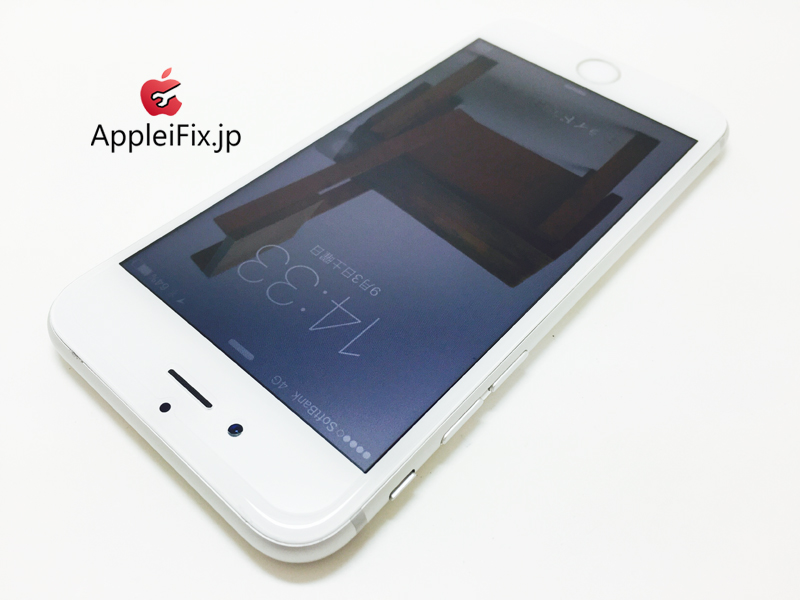 iPhone6 Silver_repair_4.jpg